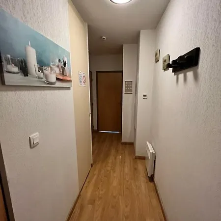 Appt Hyper-centre 4pers Terrasse Sud Vue Montagne * Loudenvielle